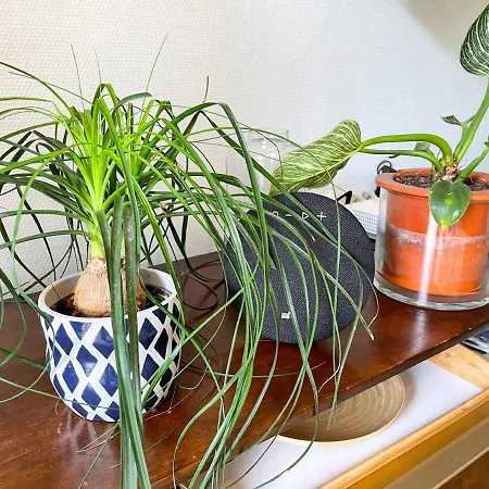 Votre Escale Boule D Or Sauna & דירה